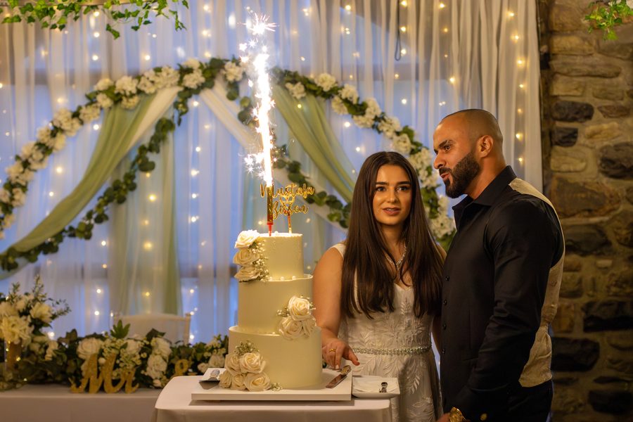 Cake Cutting